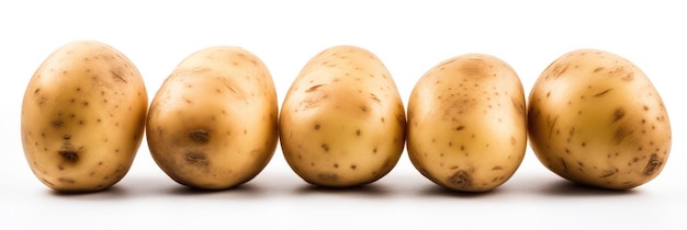 Eine Reihe Kartoffeln, die nebeneinander sitzen