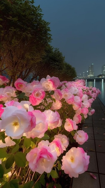 Eine Reihe rosa Blumen mit der Skyline der Stadt im Hintergrund.