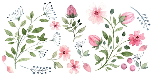 Eine Reihe von Aquarellillustrationen eines Pflanzenmusters in Form von Blumen, Knospen, Blättern und Dill