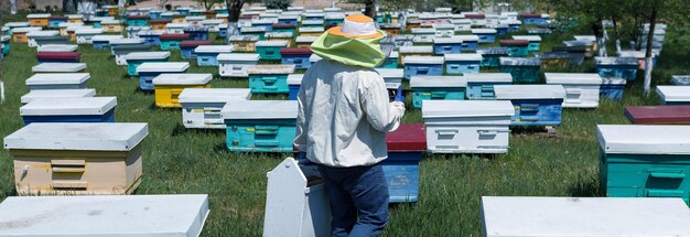 Eine reihe von bienenstöcken in einer privaten imkerei im garten honigindustrie