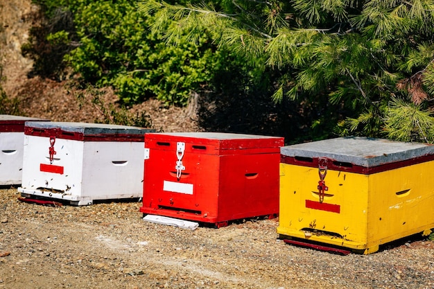 Eine Reihe von bunten Bienenstöcken aus Holz im Sommer in Griechenland