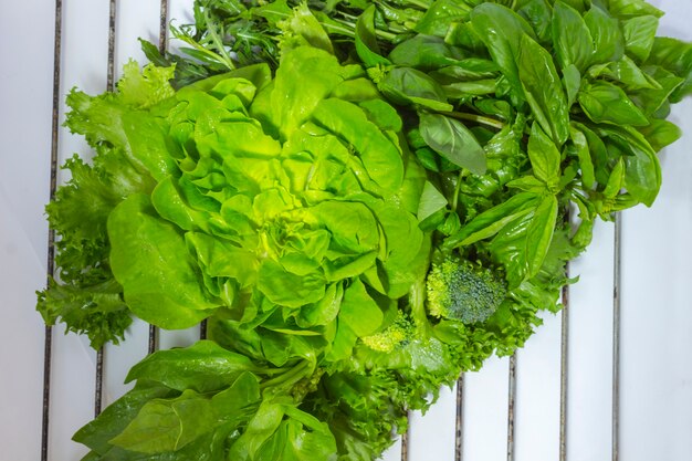 Eine Reihe von Grüns für Salat: Salat, Basilikum, Rucola, Salat.