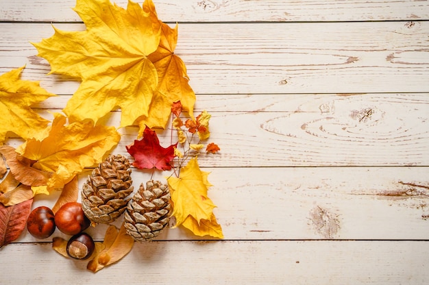 Eine Reihe von Herbstmaterialien für die Kreativität und das Basteln von Kindern auf einem Holztisch. orange gefallene Herbstahornblätter und -samen, Zedernzapfen, Zweige und rote Kastanien