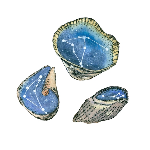 Eine Reihe von Muscheln mit der Reflexion von Sternen isoliert Aquarellillustration