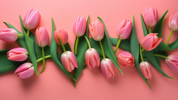Eine Reihe von rosa Tulpen auf einem rosa Hintergrund