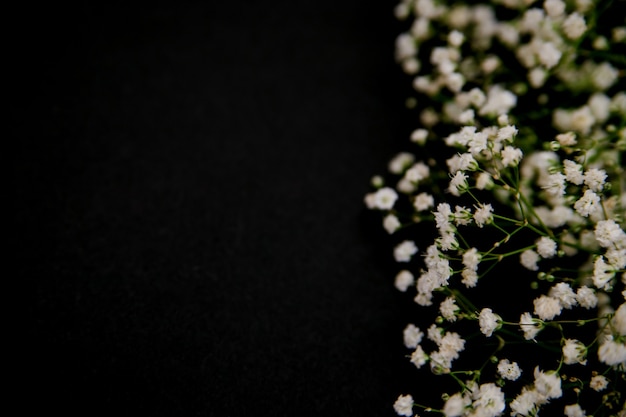 Eine romantische Blumenkomposition. Weiße Schleierkrautblumen auf schwarzem Hintergrund. Valentinstag, Ostern, Geburtstag, glücklicher Frauentag, Muttertag. Ansicht von oben.