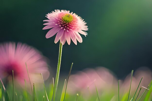 Foto eine rosa blume mit grünem hintergrund