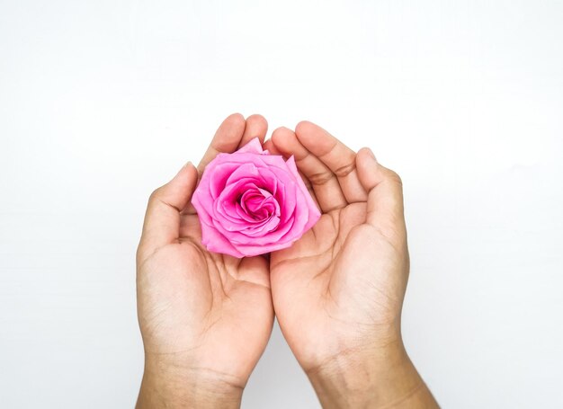 Eine rosa Blume wird in einer Hand gehalten.