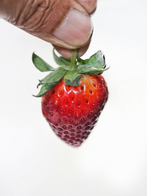 Foto eine rote erdbeere aus einem weißen boden pflücken