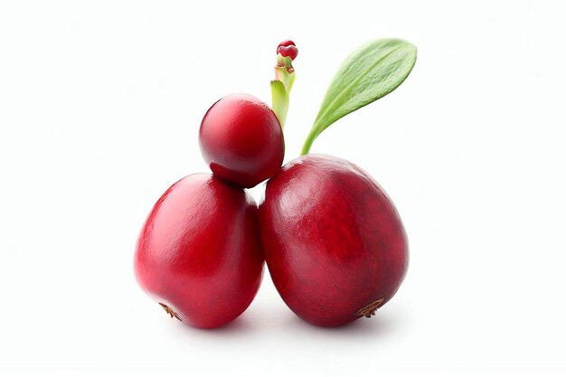 Eine rote Frucht mit einem Blatt, auf dem „Cranberry“ steht