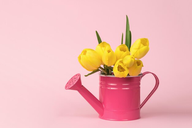 Eine rote Gießkanne und ein Strauß gelber Tulpen auf einem rosa Hintergrund