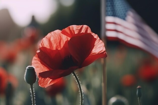 Eine rote Mohnblume steht auf einem Feld mit einer amerikanischen Flagge im Hintergrund