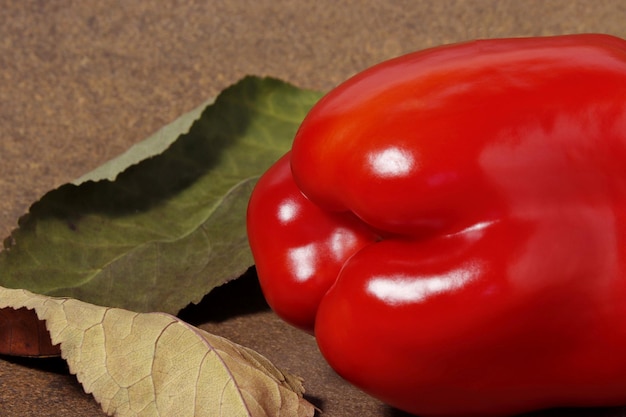 Eine rote Paprika sitzt auf einem Tisch neben einem abgestorbenen Blatt.