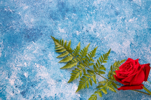 Eine rote Rose auf blauer Acryllackoberfläche