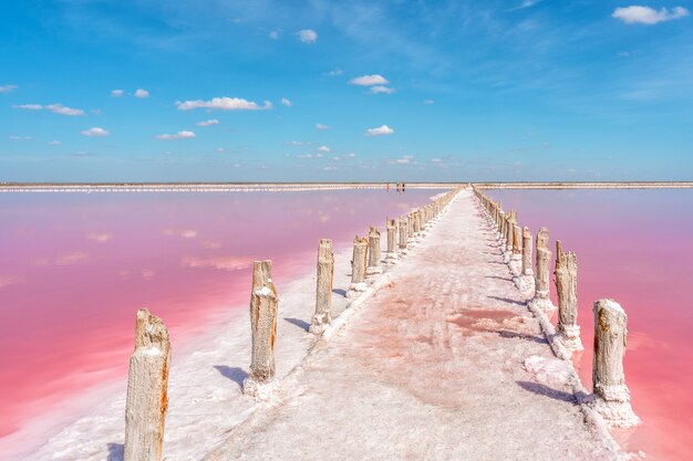 Eine ruhige friedliche Landschaft eines rosa Salzsees mit mit Salz bedeckten Holzstäbchen auf der Krim