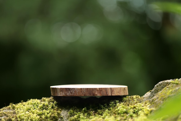 Eine runde geschnitzte Holzplatte liegt auf einem Stein mit Moos im Wald, ein Ständer, ein Podium. Bokeh