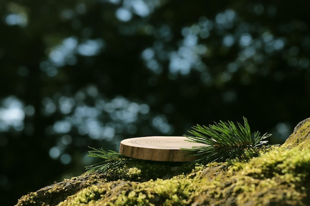 Eine runde geschnitzte Holzplatte liegt auf einem Stein mit Moos im Wald, ein Ständer, ein Podium. Bokeh