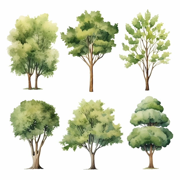 Eine Sammlung von Bäumen, darunter einer, auf dem das Wort "Frühling" steht.