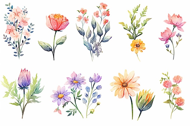 Eine Sammlung von Blumen aus dem Garten.