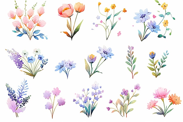 Eine Sammlung von Blumen aus dem Garten