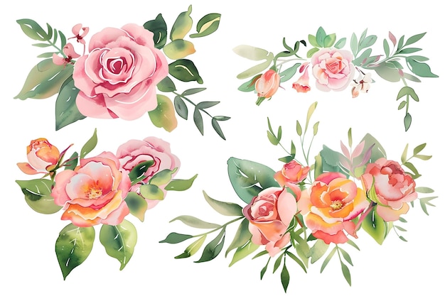 eine Sammlung von Rosen und Blättern aus der Sammlung