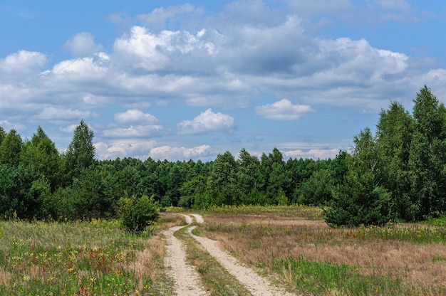 Eine sandige, ausgetretene Straße durch einen Birken-Kiefern-Wald und ein blauer Himmel mit Wolken darüber. Ukraine