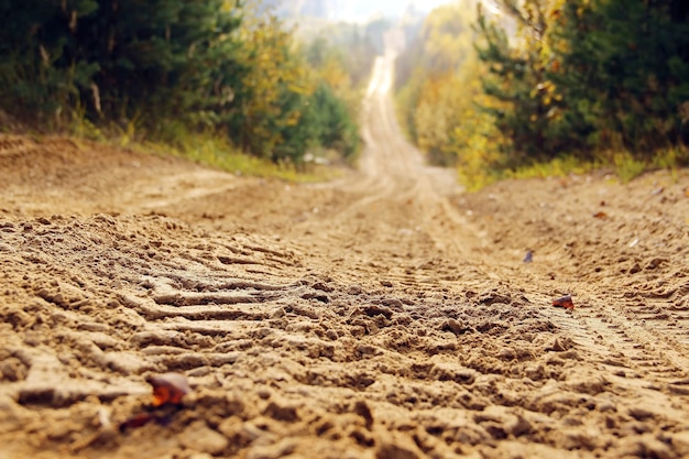 Eine sandige Straße im Herbstwald, die über den Horizont hinausgeht