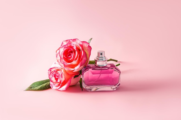 Eine schicke Flasche Parfüm oder Eau de Parfum mit Noten von zarten Rosen auf rosa Hintergrund mit Aromapräsentation von Rosenknospen in der Vorderansicht