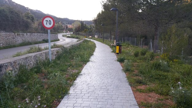 Foto eine schmale leere straße entlang der bäume