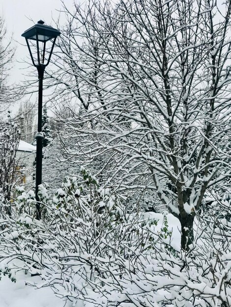 Foto eine schneebedeckte straßenlaterne ist mit schnee bedeckt.