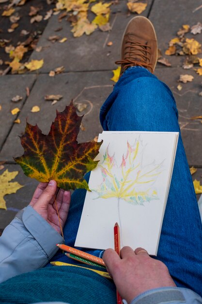 Eine schnelle Herbstlaubskizze zeichnen