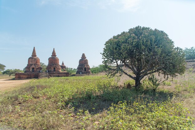 Eine schöne Aussicht auf buddhistische Tempel in Bagan Myanmar