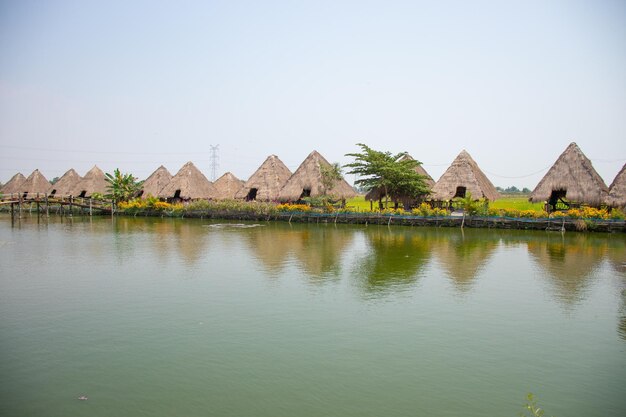 Eine schöne Aussicht auf das Lotus Flower Field Restaurant in Siem Reap, Kambodscha