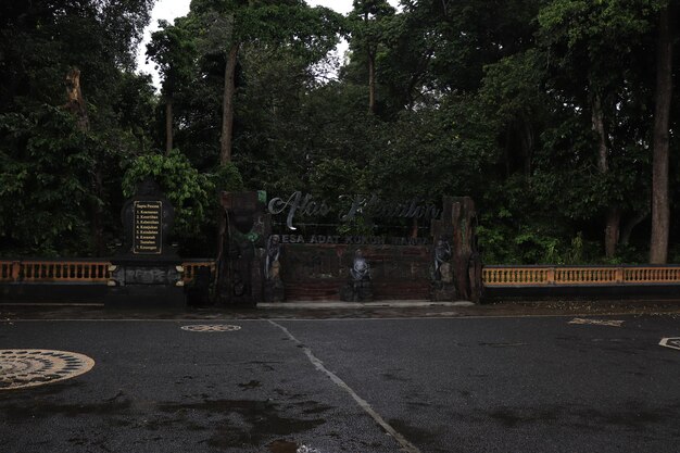 Eine schöne Aussicht auf den Affenwald in Bali Indonesien