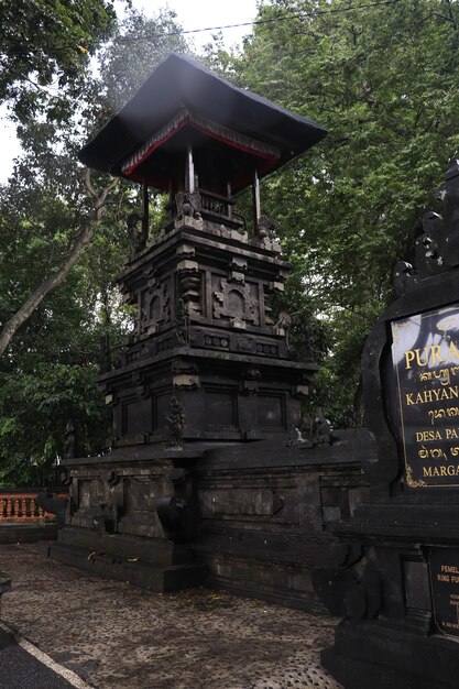 Eine schöne Aussicht auf den Affenwald in Bali Indonesien