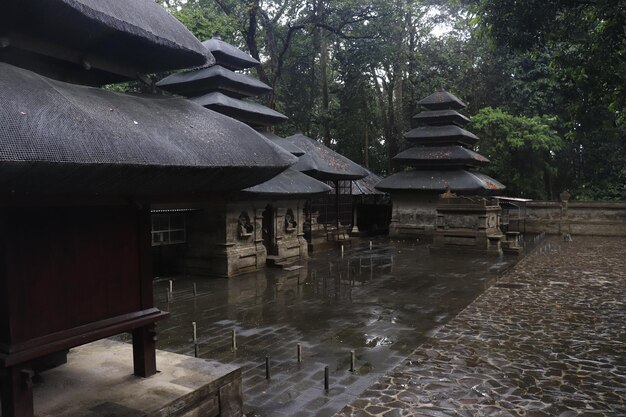 Eine schöne Aussicht auf den Affenwald in Bali Indonesien