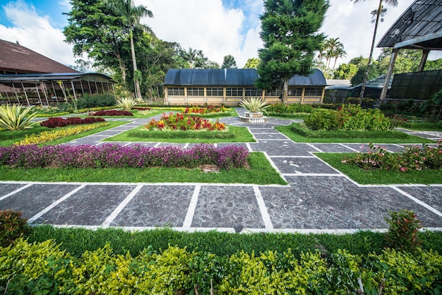 Eine schöne Aussicht auf den Botanischen Garten in Bali Indonesien