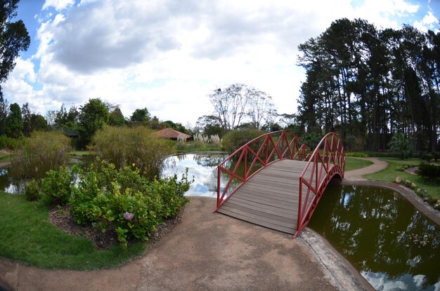 Eine schöne Aussicht auf den botanischen Garten in Brasilia Brasilien