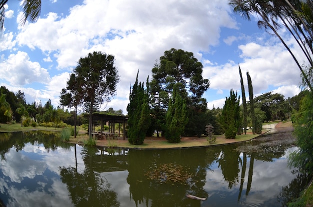 Eine schöne Aussicht auf den botanischen Garten in Brasilia Brasilien