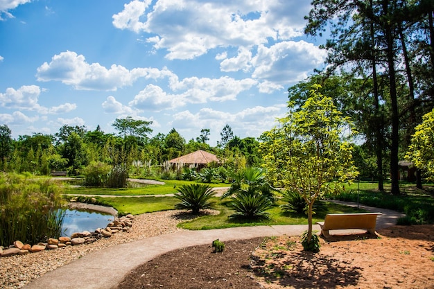 Eine schöne Aussicht auf den botanischen Garten in Brasilia Brasilien