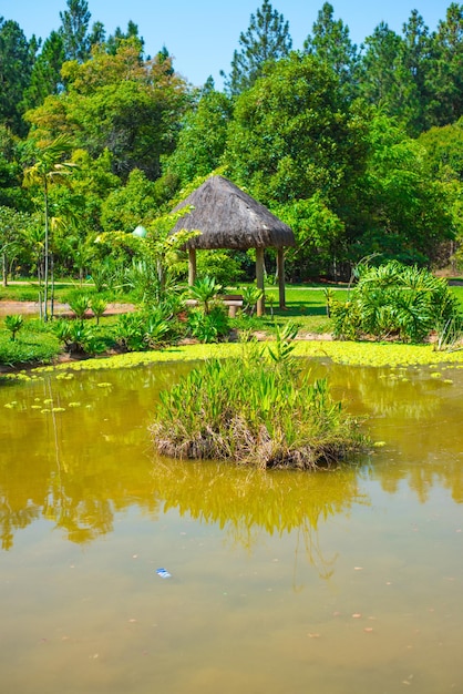 Eine schöne Aussicht auf den Botanischen Garten in Brasilia, Brasilien