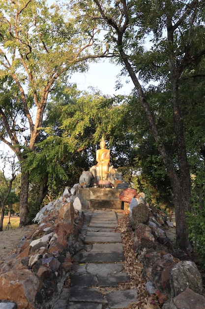 Eine schöne Aussicht auf den buddhistischen Tempel in Ayutthaya Thailand