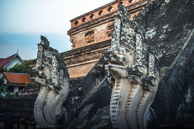 Eine schöne Aussicht auf den buddhistischen Tempel in Chiang Mai Thailand