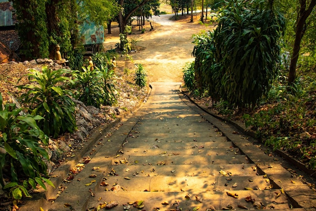 Eine schöne Aussicht auf den buddhistischen Tempel in Chiang Rai Thailand