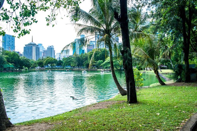 Eine schöne Aussicht auf den Lumpini Park in Bangkok Thailand