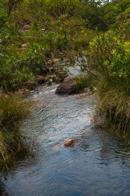 Eine schöne Aussicht auf den Park Chapada dos Veadeiros in Alto Paraiso Goias Brasilien