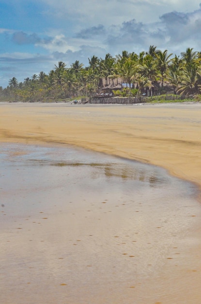 Eine schöne Aussicht auf den Strand in Ilheus Bahia Brasilien