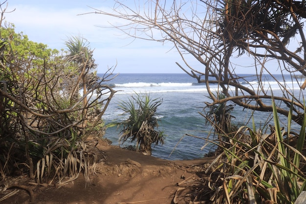 Eine schöne Aussicht auf den Strand von Nusa Dua in Bali Indonesien