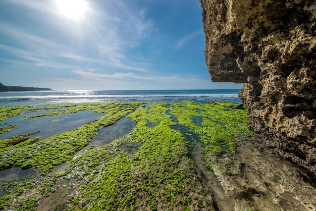 Eine schöne Aussicht auf den Strand von Uluwatu in Bali, Indonesien