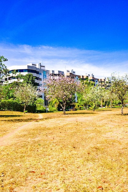 Eine schöne Aussicht auf den Südwestsektor in Brasilia, Brasilien